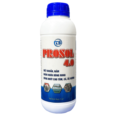 PROSOL 4.0